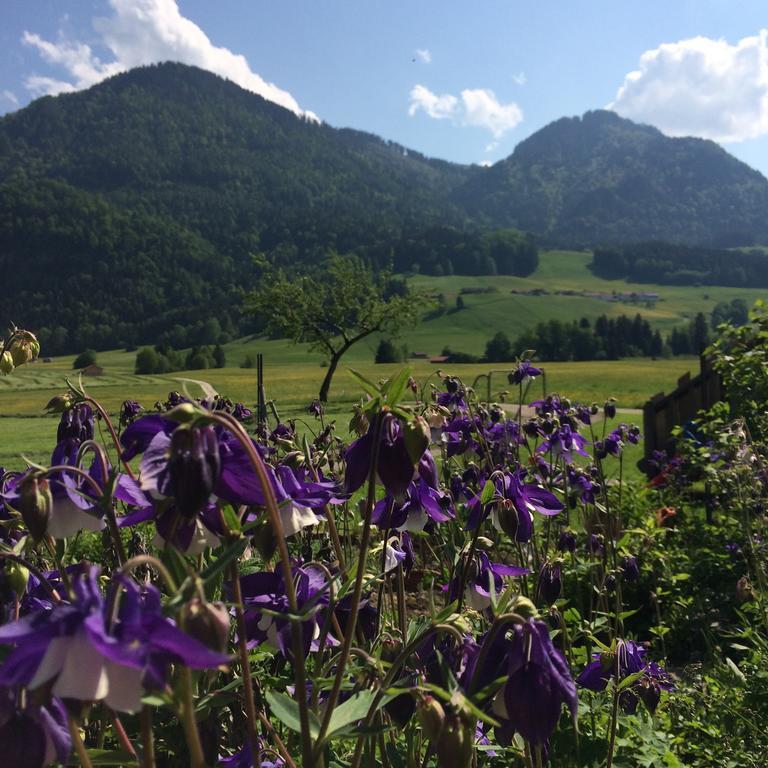 Schifterhof Holiday home Ruhpolding